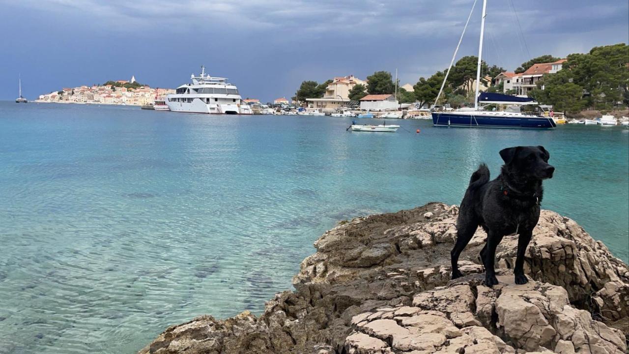 Stonewood Dalmacija Apartman Primošten Kültér fotó